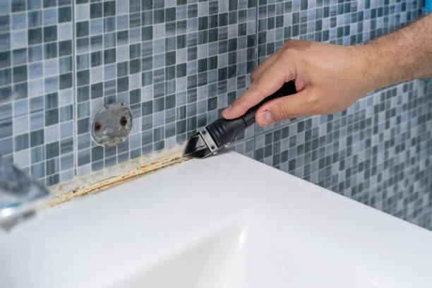 Best Mold Testing  in Seaford, DE
